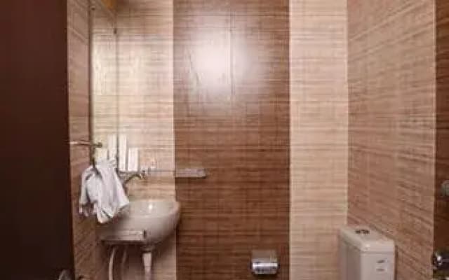 Hotel Pahwa International - photo 5
