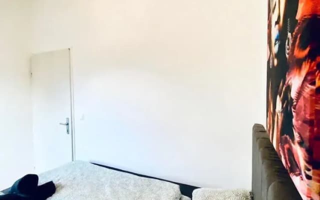 Spacious 4 BR Apt Perfect for Groups - photo 3