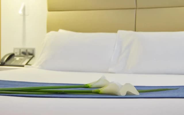 Hotel Miau - photo 4