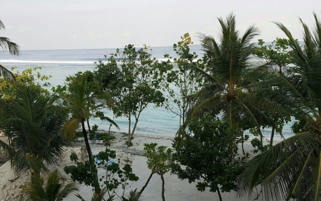 Hotelodge Aloevera Beach - photo 2