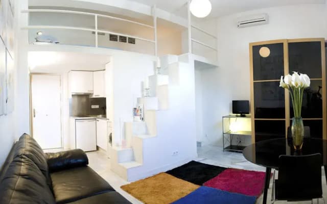 Apartamentos Puerta del Sol-Lofts Calle Ribera de Curtidores - photo 4