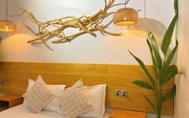 Eco Palm Maldives - photo 5