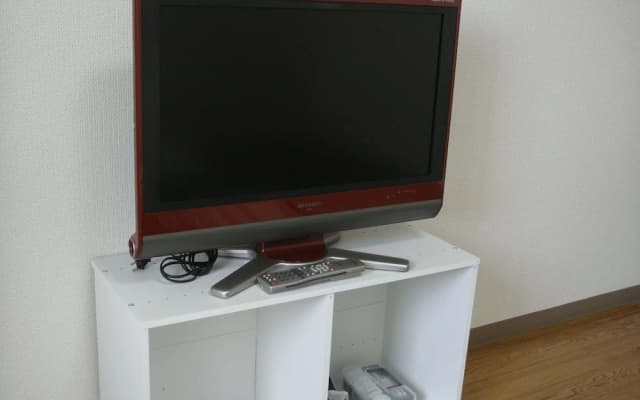 Landmark Hayashi - photo 5