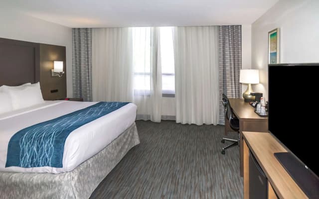 Comfort Inn & Suites Downtown Brickell-Port of Miami - photo 4