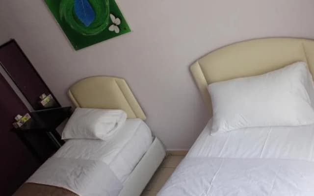 Green View Guest House - photo 2