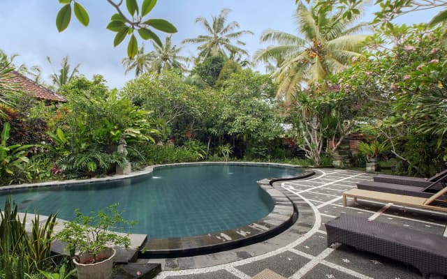 Arjana Bungalow 2 - photo 4
