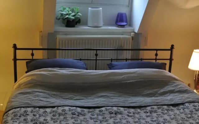 Appartment With Terrace - photo 3