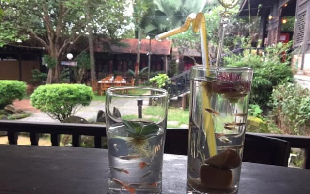 Sim Garden Resort - photo 5