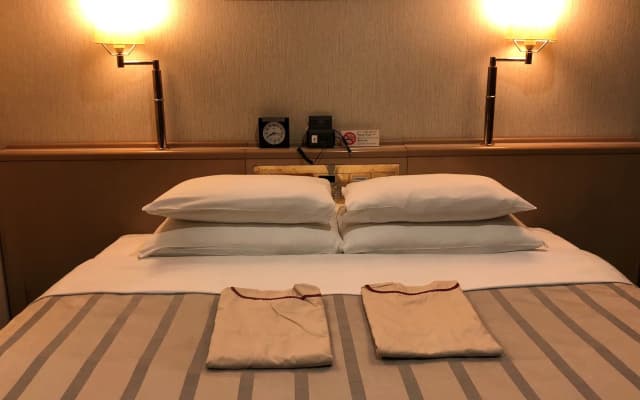 Hotel Ginza Daiei - photo 4