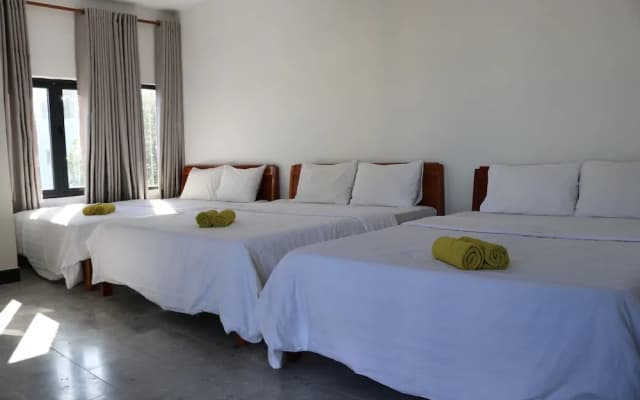 Green Garden House Homestay - photo 4