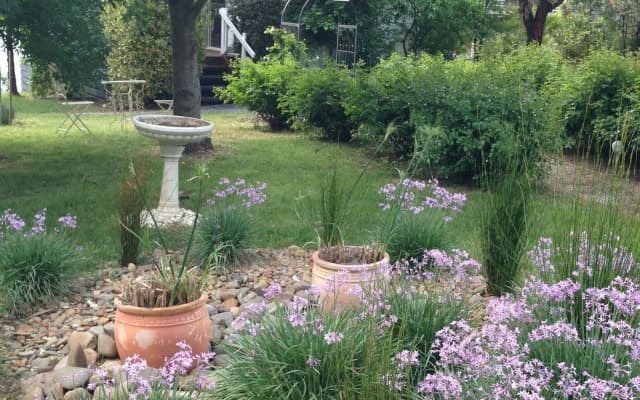 Yarraglen BnB - photo 3