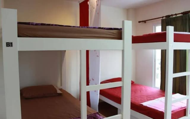 Ananas Phuket Hostel - photo 5
