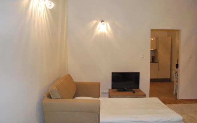 Hybernska Apartments - photo 5