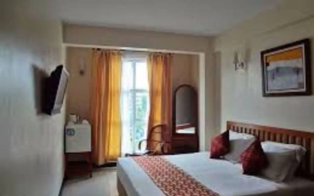 Baani Hotel - photo 2