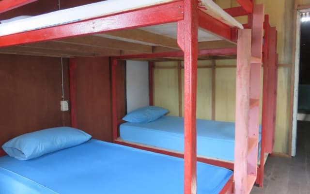 Homemade hostel - photo 2