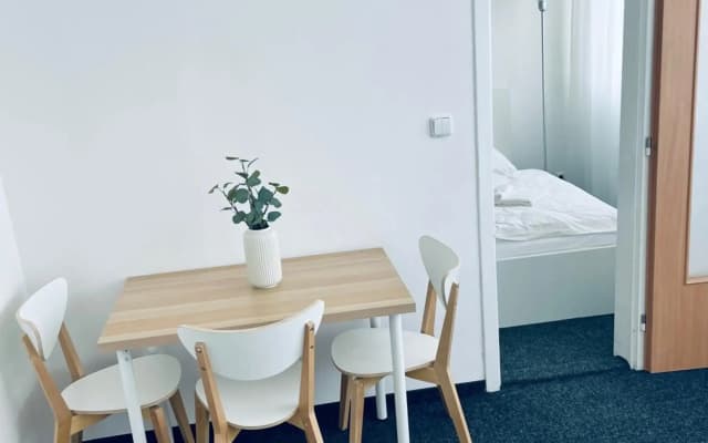 Apartmány Bryksova - photo 4