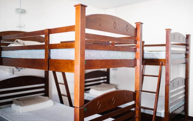 Buc's Hostel - photo 3
