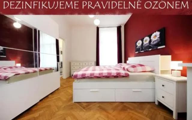 Historic Centre Apartments V - photo 3