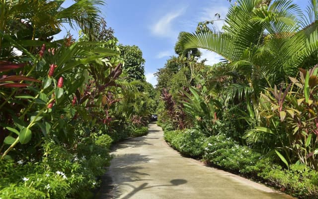 Rain Forest Resort Phu Quoc - photo 3