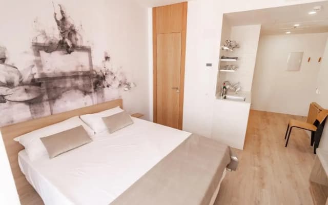 Plaza Mayor Suites & Apartments - photo 3