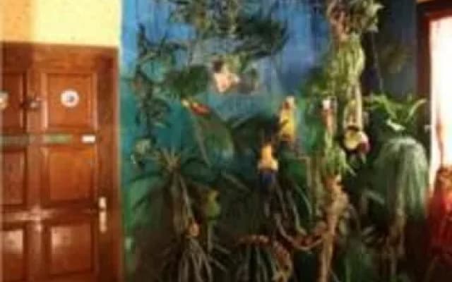 Detty Panzi - photo 2