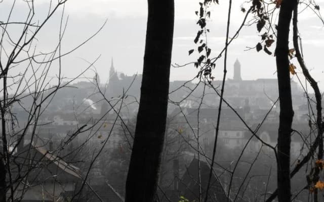 Season Hostel Hill - photo 3