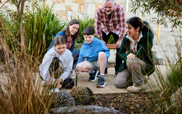 Wildlife Retreat at Taronga - photo 4