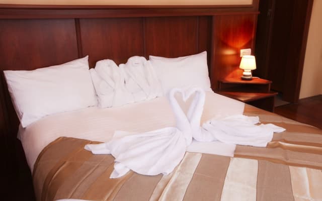 Aristocrat Hotel - photo 3