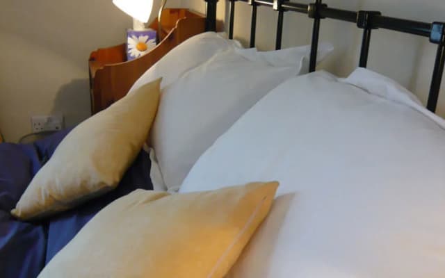 Silver Lining - Mile Apartments - photo 3