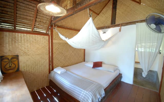 The Jungle Club - photo 4