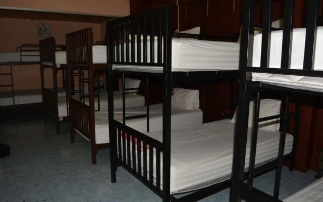 Little Austria Tams Guesthouse - photo 3