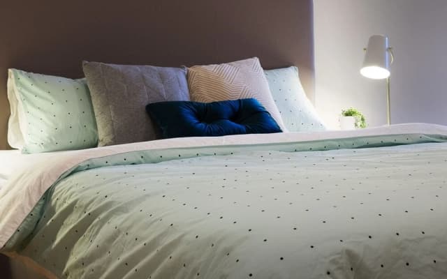 Roomerang at Parque 3 - photo 5