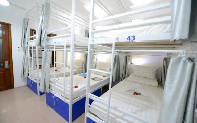 Pillow Backpacker Hostel - photo 5