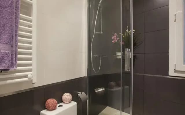 Friendly Rentals Salamanca Confort Ayala - photo 4