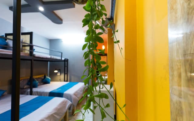 GoCo Hostel - photo 3