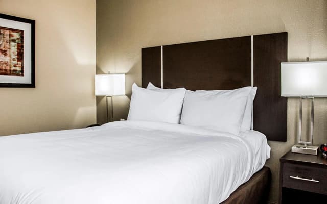 Pitkin Hotel - photo 5
