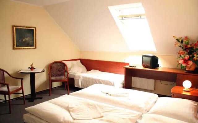 Hotel U Hvezdy - photo 4