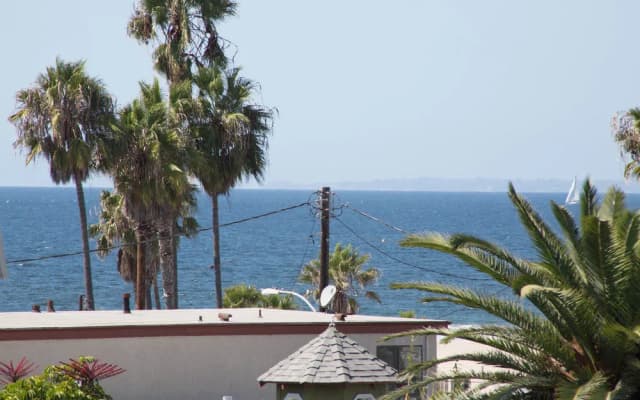 Ven48 - photo 2