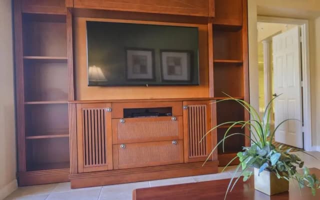 Orlando Condo - photo 4