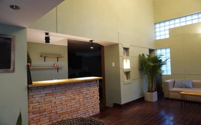 Leiden Homestay & Cafe - photo 4