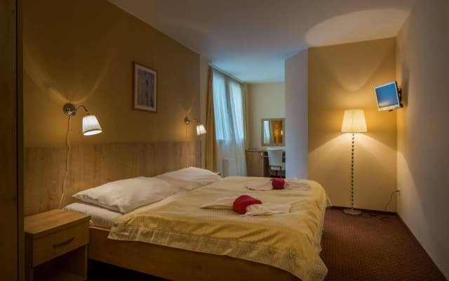 Hotel Superior Prague - photo 3