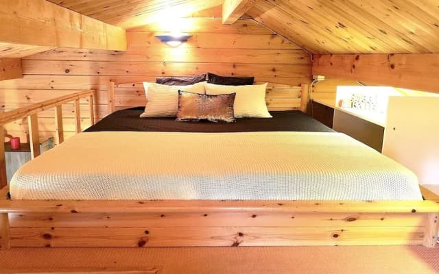Dreamy Garden Lodge Center Berlin - photo 3