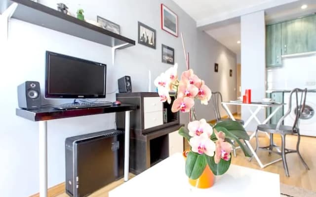 Studio in Madrid, With Wifi - photo 3