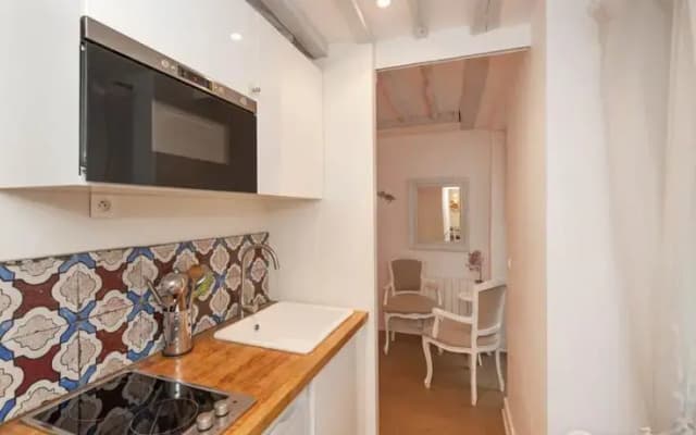 Sunny Marais Studio 303 - photo 2