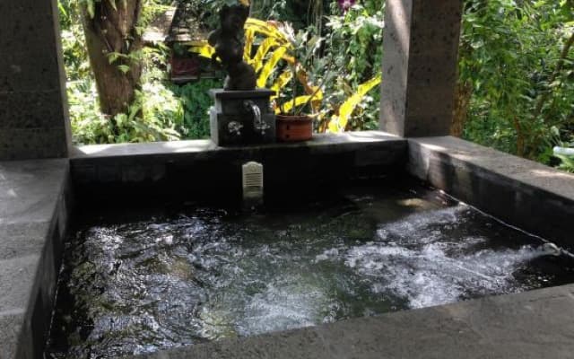 The Bali Shanti - photo 4