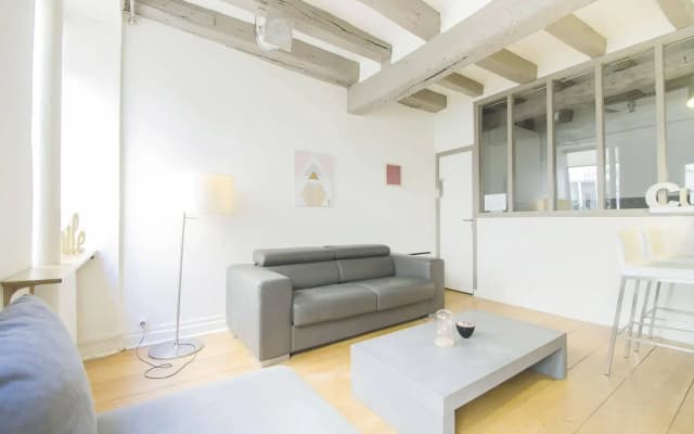 Luxury Apartment in Paris - Marais - photo 3