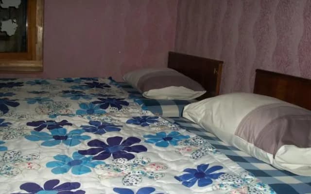 Aleksandre Guest House - photo 5