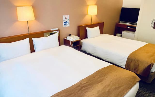 Tokyo Plaza Hotel - photo 3