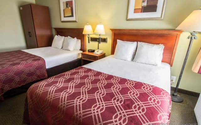 Stayable Orlando - photo 3