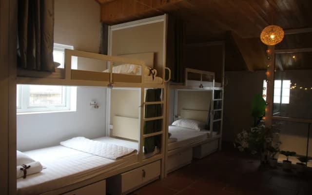 Hanoi EcoStay 1 hostel - photo 3